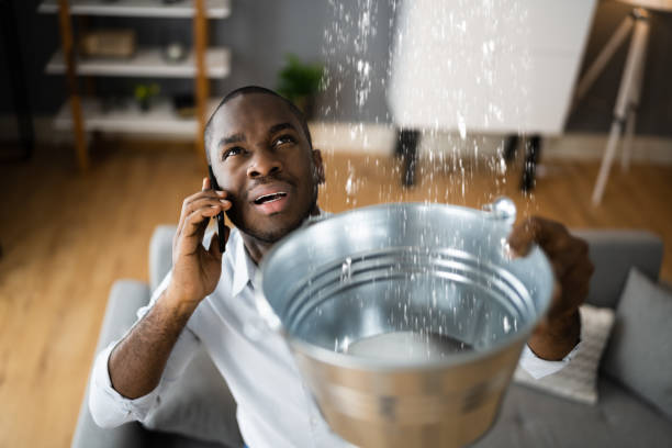 Best Flood damage cleanup  in Laurens, SC
