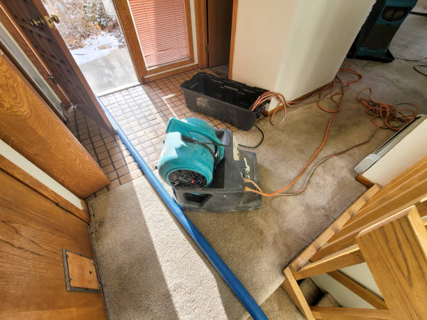 Best Sewage cleanup and water damage restoration  in Laurens, SC