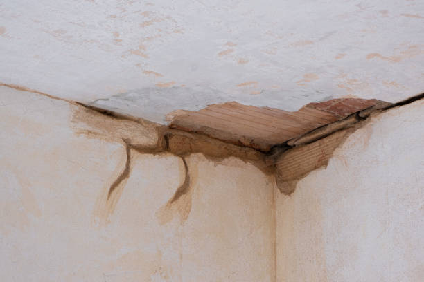 Best Basement water damage restoration  in Laurens, SC