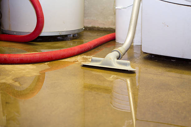 Best Carpet water damage restoration  in Laurens, SC