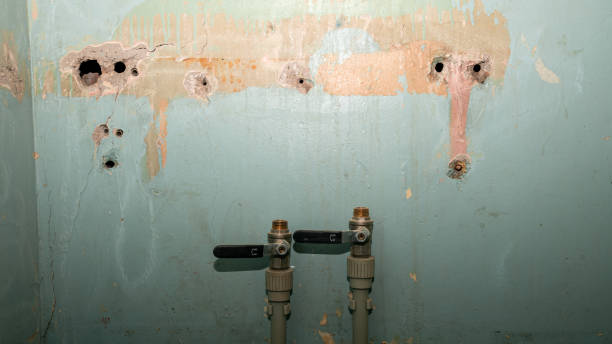 Best 24/7 water damage repair  in Laurens, SC