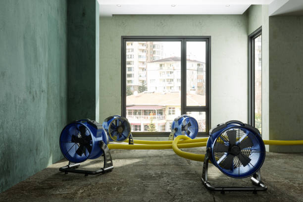 Best Water damage contractors near me  in Laurens, SC